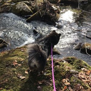 Meet your Posher, Kathy